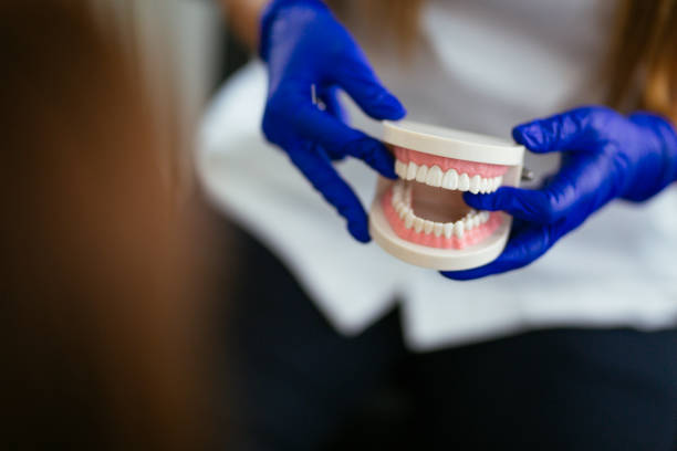  Kingston, PA Holistic Dental Care Services Pros